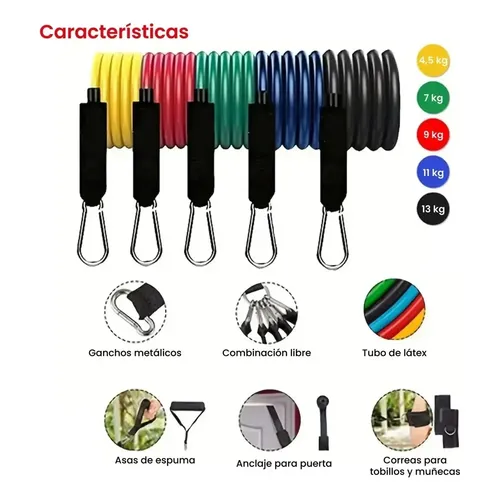Kit 5 Bandas con Manijas Tushka